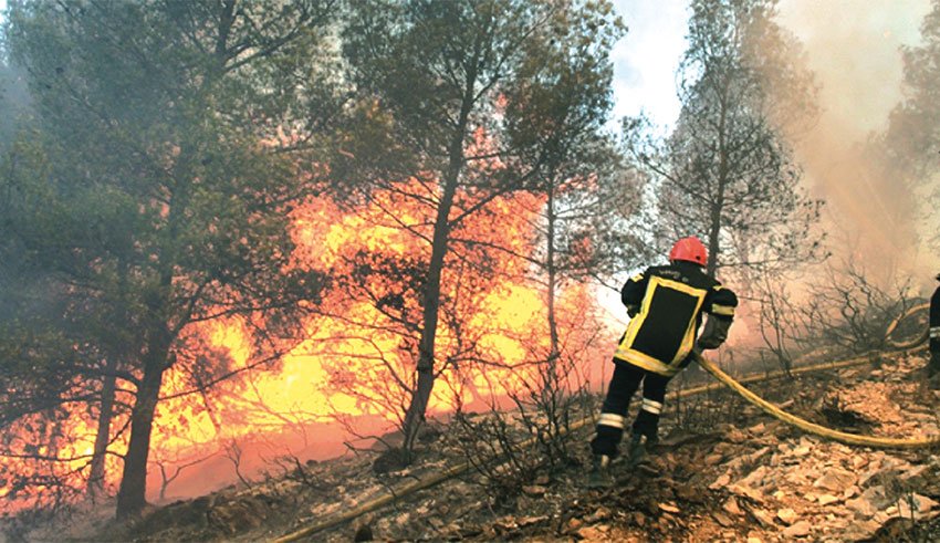 Protection civile : 70 incendies maîtrisés en 24 heures