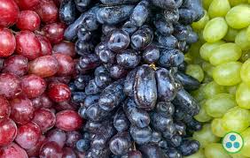 Raisins: La production estimée à 38 mille tonnes à Nabeul