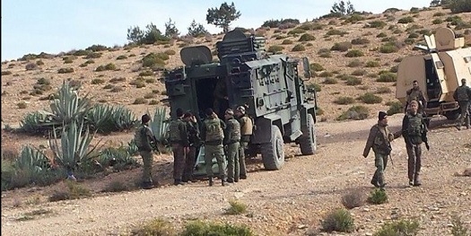 Deux éléments terroristes abattus au Jebel Salloum (Kasserine)