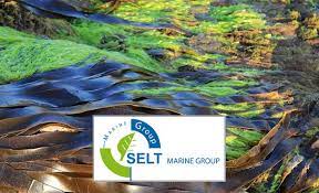 L’entreprise française Selt Marine : Inauguration de la nouvelle usine à Bizerte en juin 2023