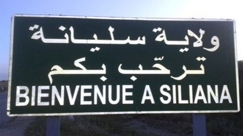 Siliana : Création d'une plateforme de commerce électronique au profit des femmes agricoles et artisanes