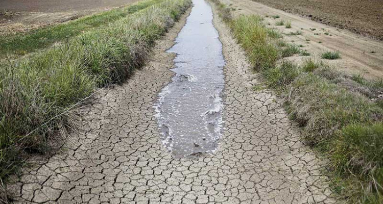 Stress hydrique en Tunisie: Le CERTE propose des solutions innovantes