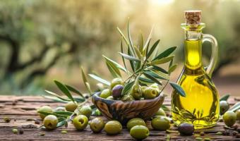  Huile d’olive : Progression de 49,6% des exportations au cours des 4 premiers mois de la campagne