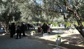 Kairouan: Lancement de la route touristique autour de l’huile d’olive Oueslati
