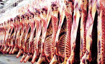 Abattoirs municipaux à Monastir: Appel au renforcement des contrôles
