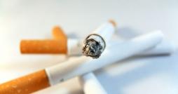 Plus de 13 mille Tunisiens meurent chaque année du tabac