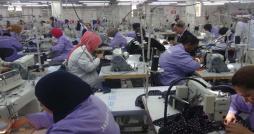 Économie verte: La BERD et l’UE unissent leurs efforts pour soutenir les entreprises tunisiennes