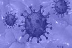 Coronavirus: