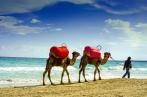 Tourisme