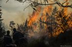 L incendie du Parc Nahli en photos !