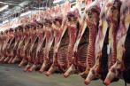 Les abattoirs tunisiens non conformes aux normes