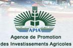 APIA : Vers l’identification de mécanismes d’incitation des jeunes à l’investissement dans le secteur agricole 