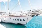 Le « Blue Panda » du Fonds mondial de la nature fera escale à Tunis 