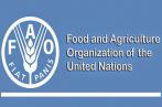 FAO-