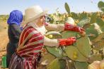 Tunisie: