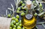 Agriculture : Mesures en faveur des producteurs d’huile d’olive