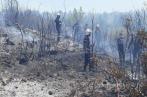 Incendies