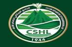 CSHL