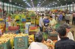 Marché de gros-Bir El Kassaa : hausse considérable des prix des fruits et des poissons 