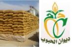  L’Office des céréales lance des appels d’offres internationaux pour l’achat du blé dur et tendre