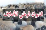 Nizar