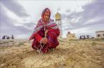 BM -Tunisie: 71% des pertes de PIB imputables au climat seront dues à des pénuries d'eau
