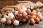 ONAGRI : Baisse de 7,4% du prix des œufs de consommation en janvier 2024