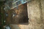 Tunnel