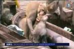 L'incroyable sauvetage d'un singe par un ...singe (Vidéo)