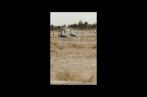 Algérie : Crash d’un hélicoptère militaire, le pilote et son copilote blessés (vidéo)