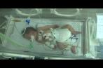 Chaïma, le bébé miraculé de Gaza (Vidéo) 