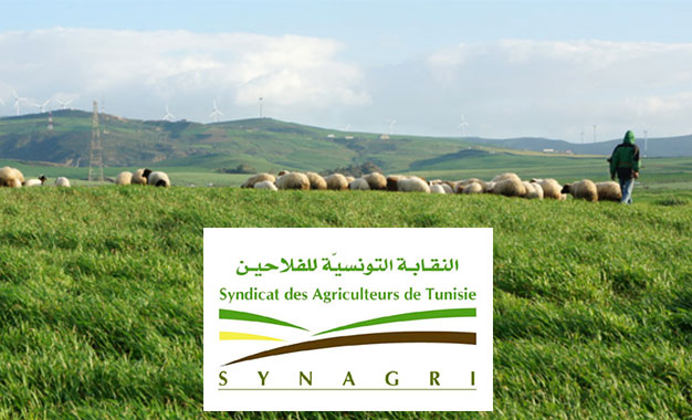 Le SYNAGRI appelle à identifier des mécanismes de vente sains pour les produits agricoles