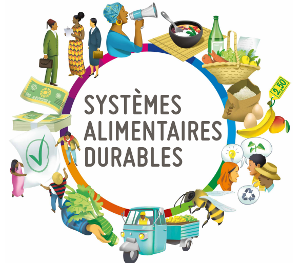 UE : Dialogues sur les systèmes alimentaires durables les 10 et 11 mai au Caire