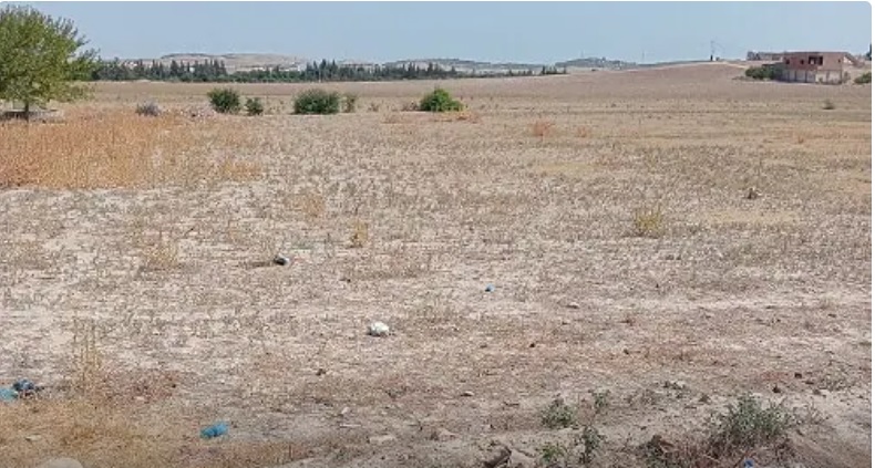 Récupération de 3 terrains agricoles d’une superficie totale de 17 hectares