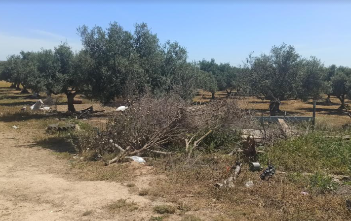 Manouba: Récupération d'un terrain domanial agricole de 19 hectares