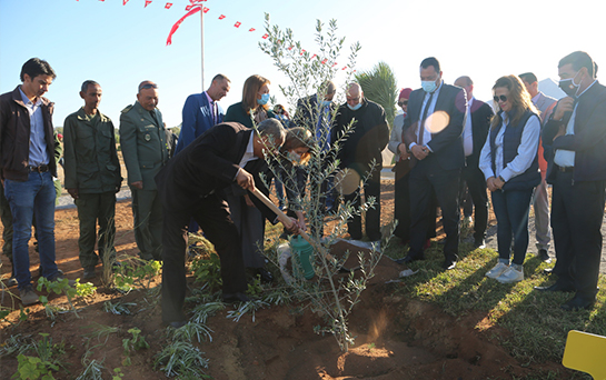 L’Université Centrale : Nos arbres = nos générations futures