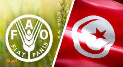 Signature du cadre-programmation entre la Tunisie et la FAO