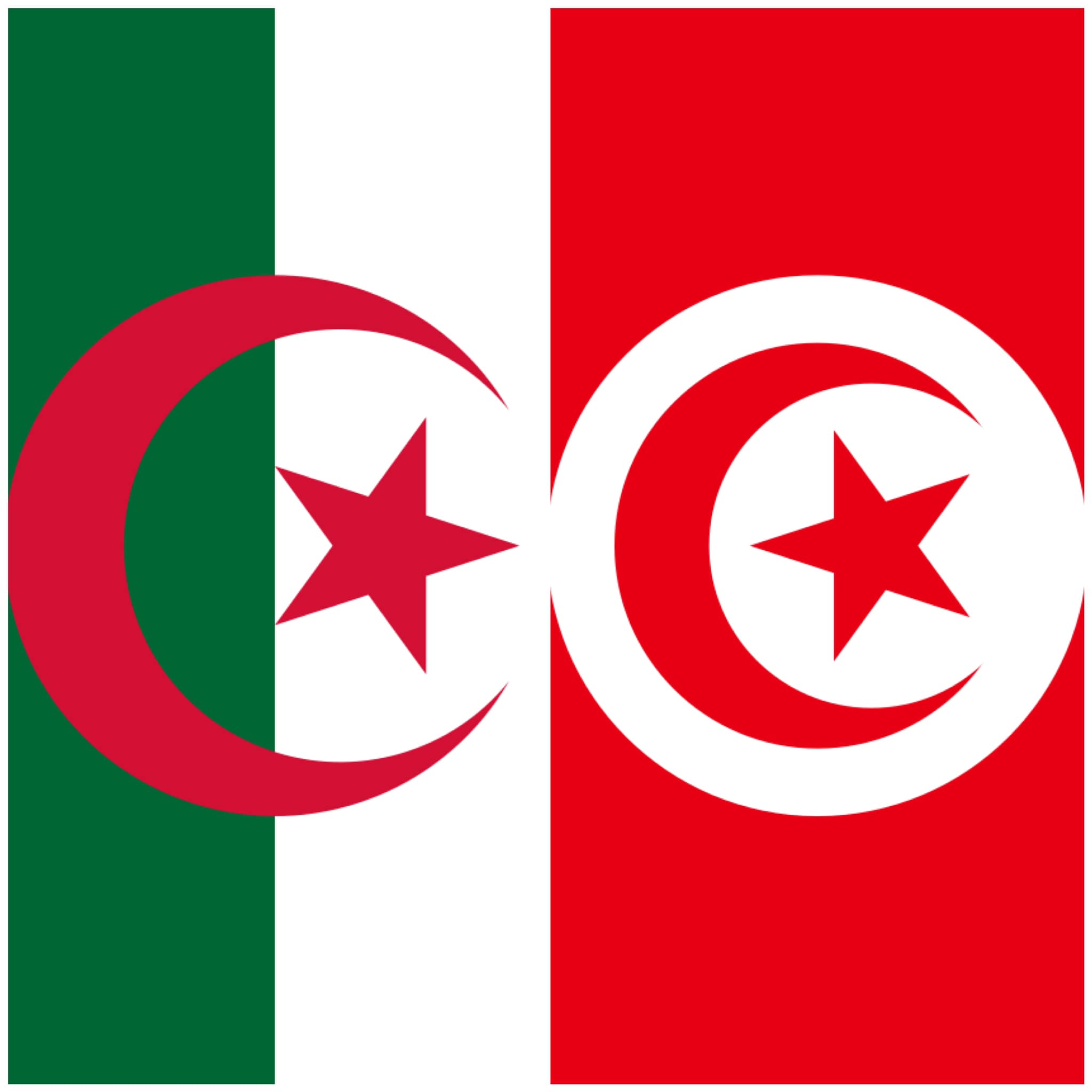 Mohamed Ali Nafti en visite de travail à Alger les 19 et 20 octobre