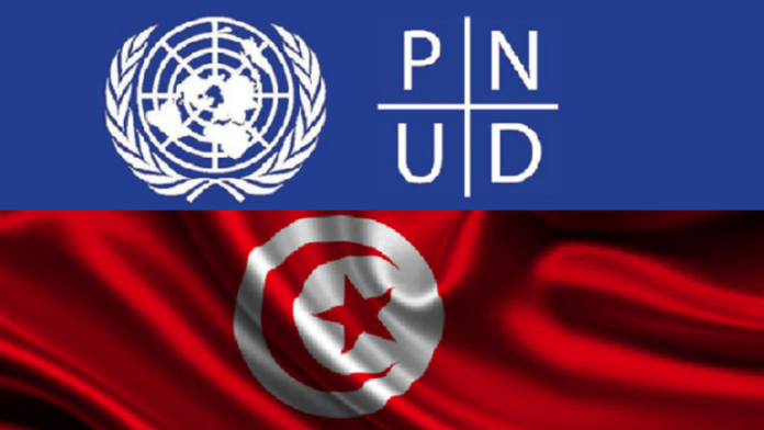 Tunisie - PNUD : Promouvoir le développement durable et intégré
