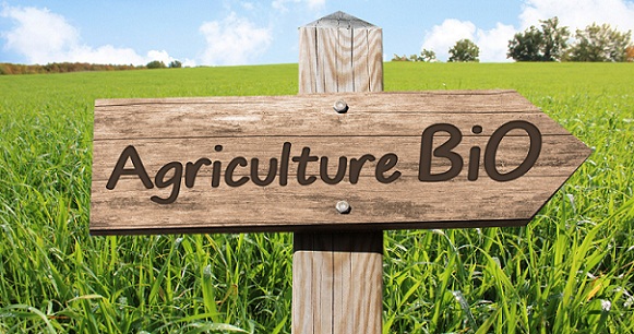 Tunisie : Vers un label bio aligné sur les standards européens