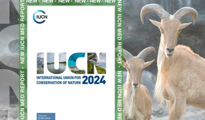 IUCN Méditerranée 2024 : lancement d’un programme eau et biodiversité en Tunisie