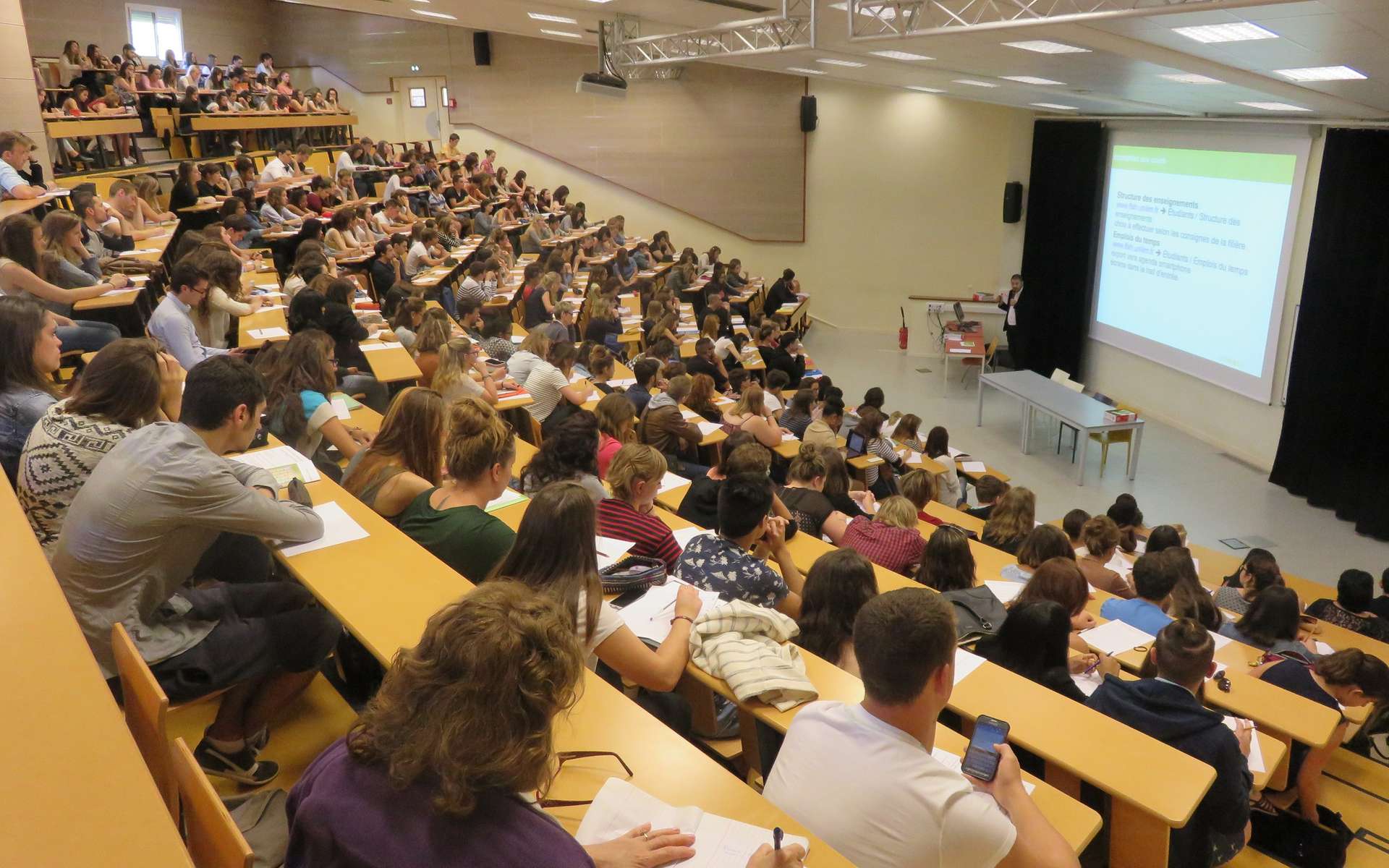 Quatre universités tunisiennes parmi les meilleures universités arabes en 2023