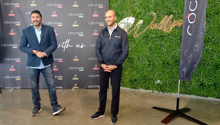 Coccinelle et WallysCar offrent le prix de location le moins cher sur le marché tunisien