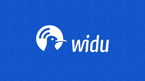 WIDU.africa : La diaspora tunisienne soutient les entrepreneurs depuis toute l’UE
