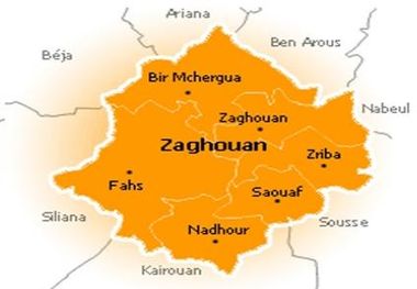   Convention de partenariat entre une société communautaire et une société tuniso-hollandaise